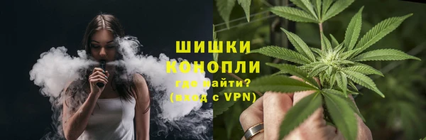 гашик Осинники