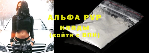 гашик Осинники