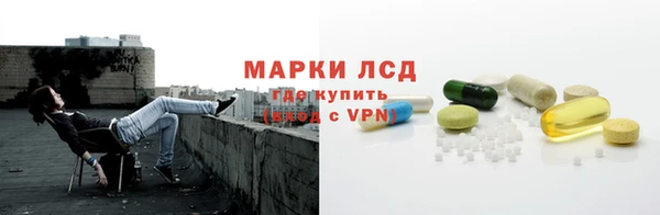 гашик Осинники