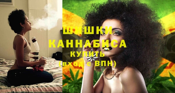 гашик Осинники