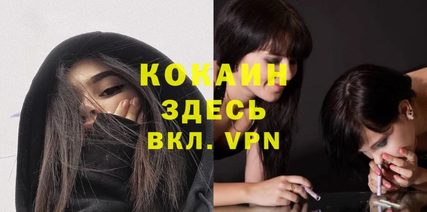 прущая мука Няндома