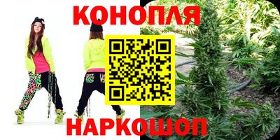 шишки Абинск